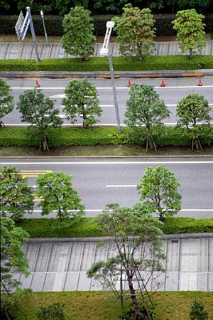 横浜市における運転代行サービスの2026年最新ガイド:選び方と安心して利用できるポイント