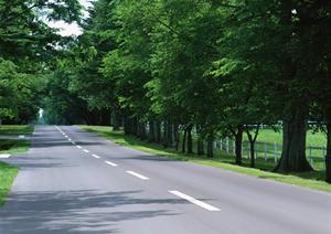 豊田車検の閑散期を狙うとお得になる