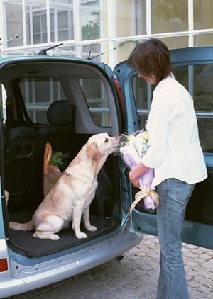 一宮市で板金塗装で評価の高いお店
