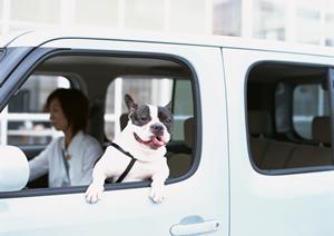 クレーン運転手の募集なら山善運輸機工へ